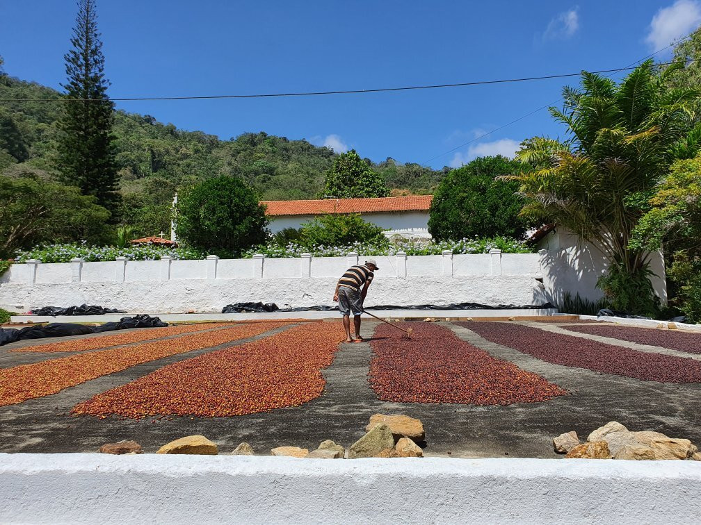 Sitio Sao Roque-Mulungu必去景点