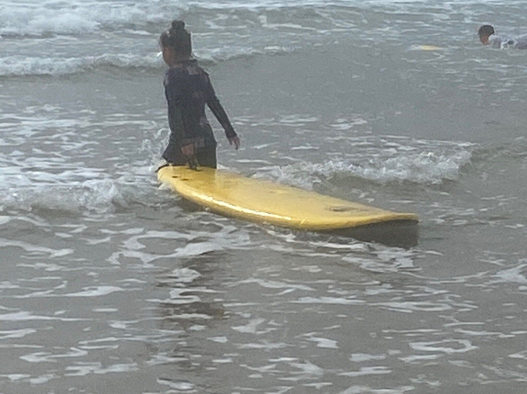 Hurley Surf Club Lacanau景点图片