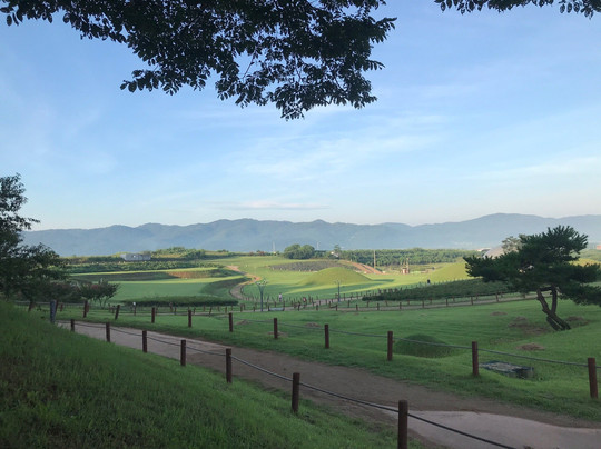 Uiseong Geumseongsan Gobungun-义城郡必去景点