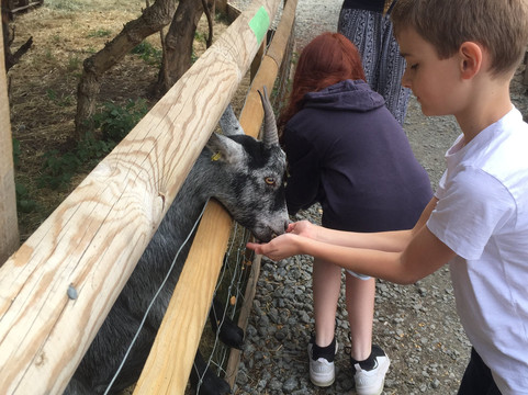 George Mead Memorial Stables-Welling必去景点