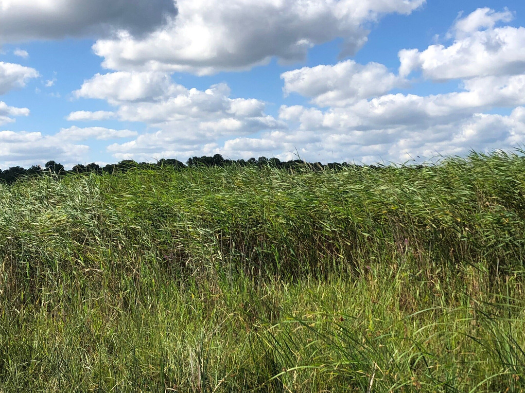 Igneada Longoz Ormanları Milli Parkı-Igneada必去景点