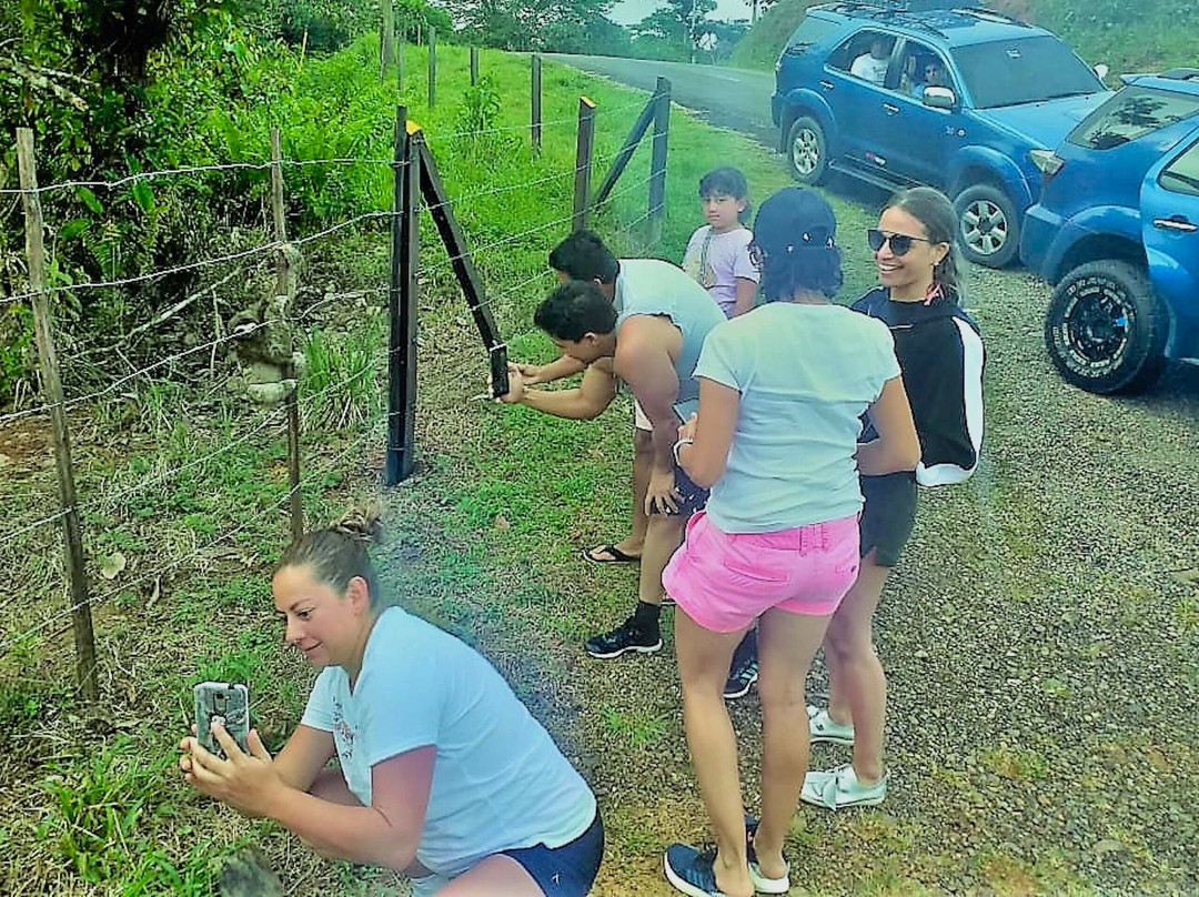 Tao Travel 365 - Panama-巴拿马城必去景点