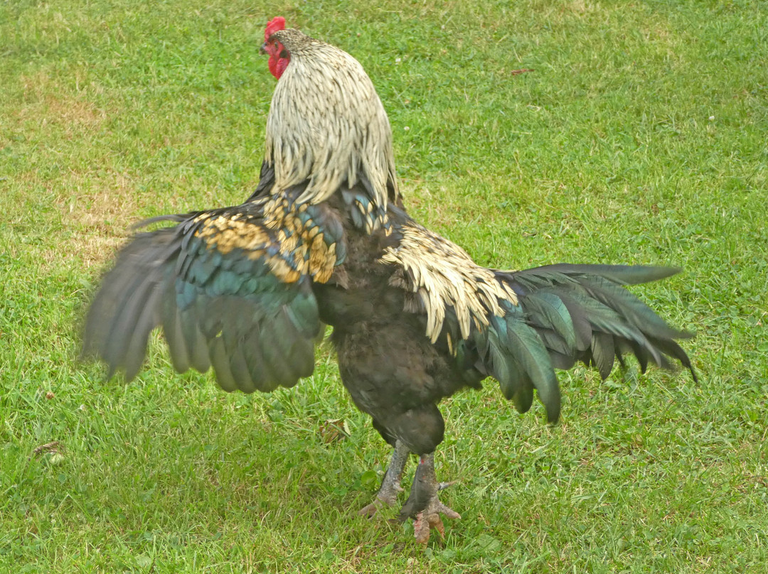 Orwell Corner Historic Village-Orwell必去景点