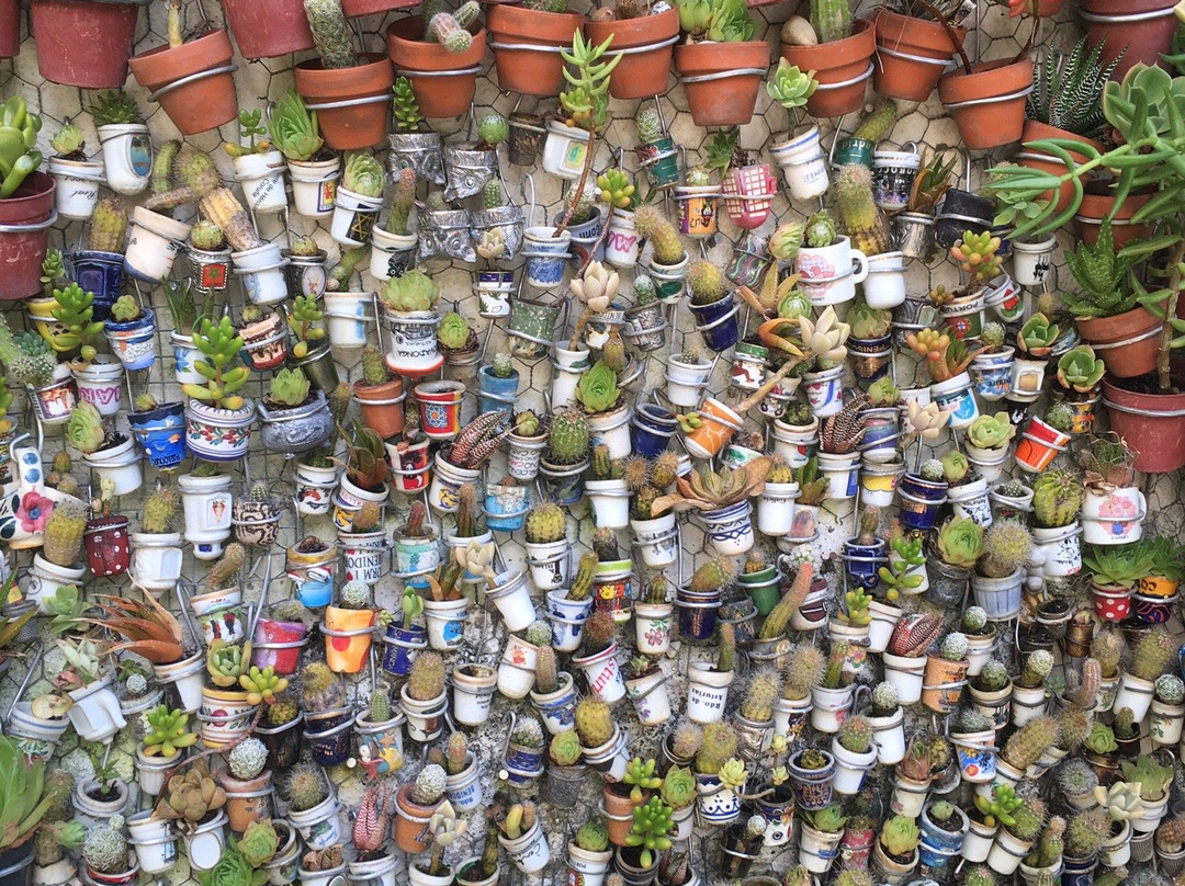 La Casa de los Cactus-Hervas必去景点