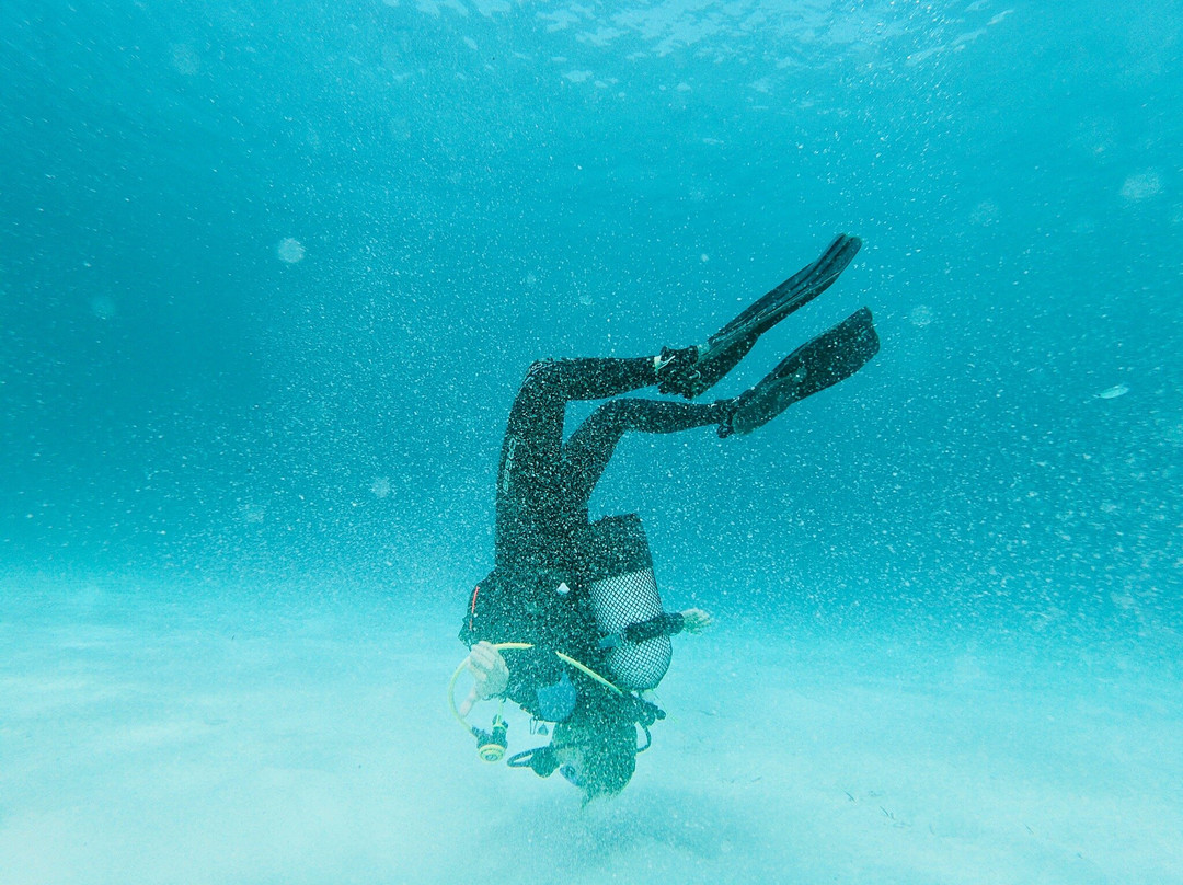 Dive Center Cala Blanca-卡拉布兰卡必去景点