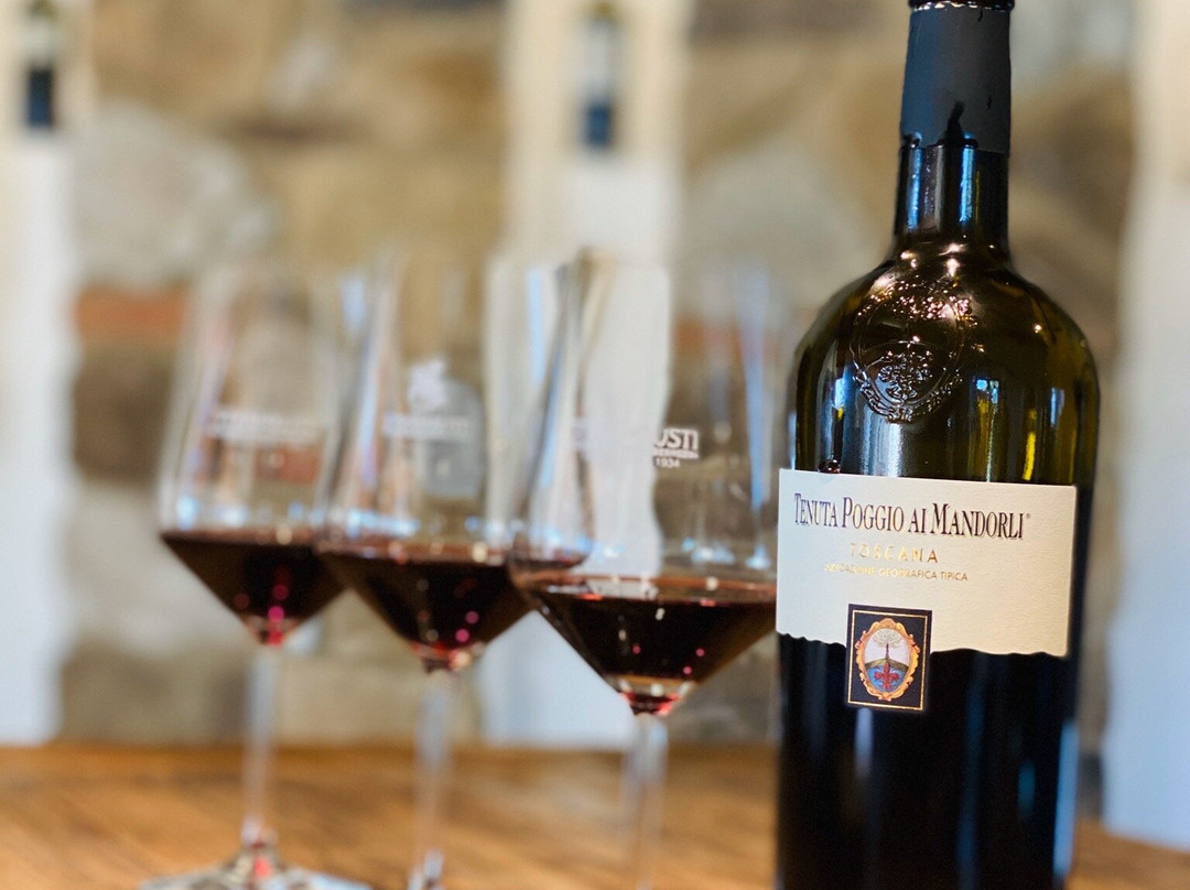 Agriturismo Poggio ai Mandorli主图