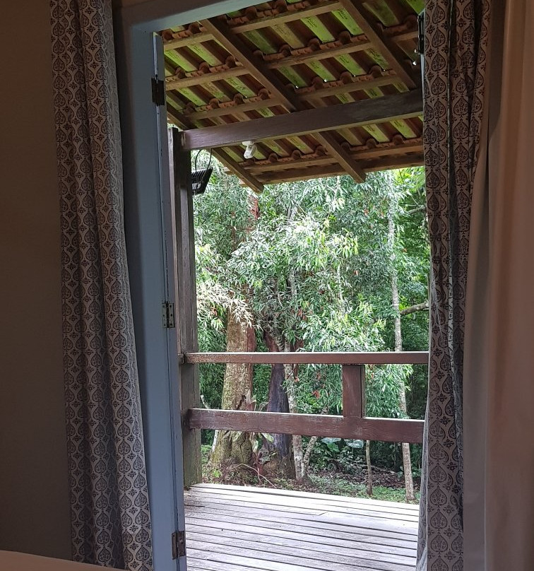 Bosque da Neblina主图