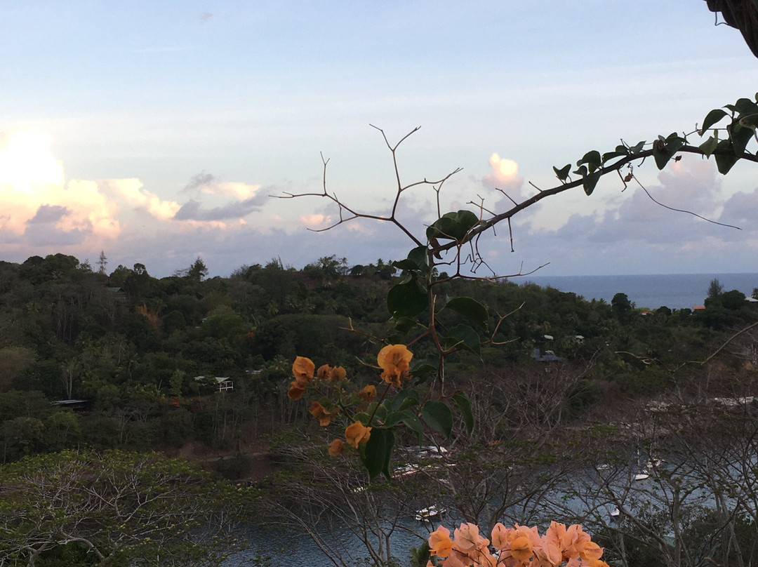Taha Uku Bay-Atuona必去景点
