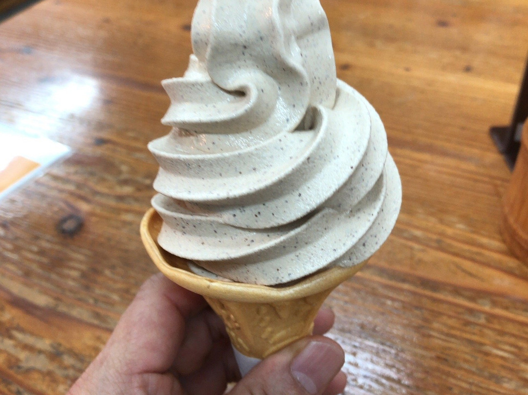 Michi-no-Eki Agri Station Nagura-设乐町必去景点