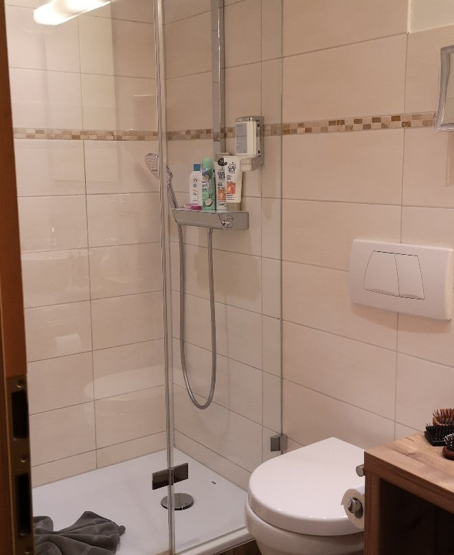 Hotel Birkenhöhe主图