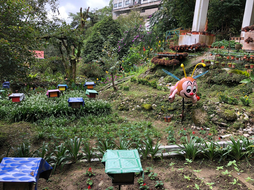 Ee Feng Gu Bee Farm景点图片