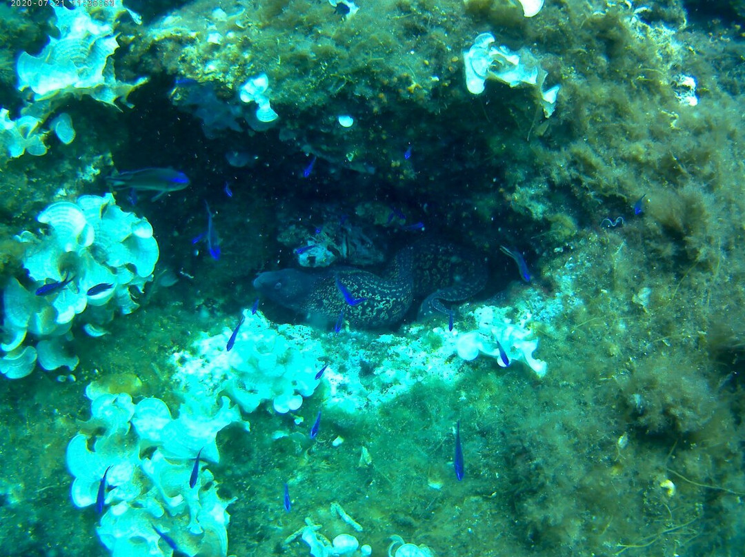 Anfibios Ibiza景点图片