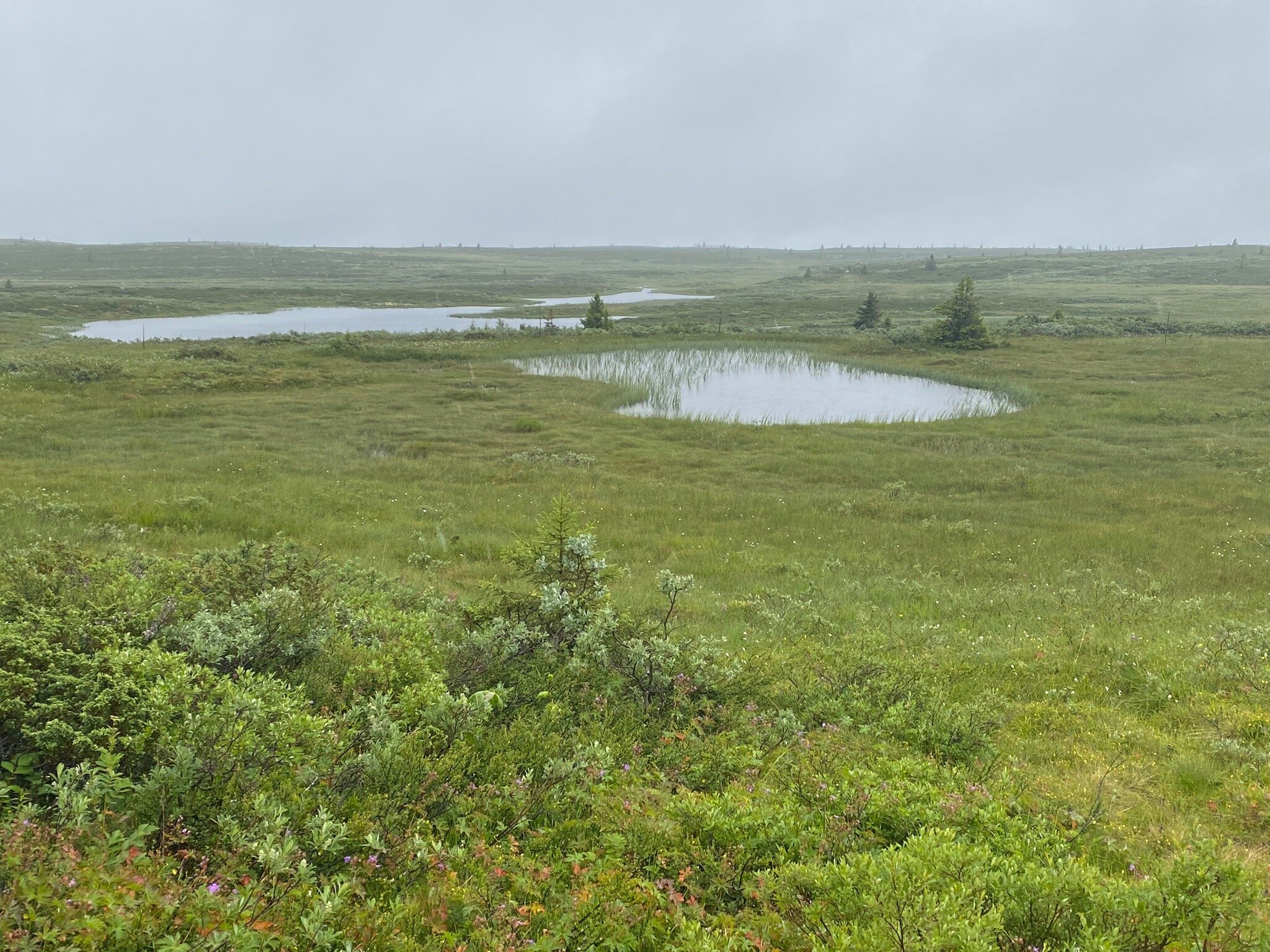 Kamben Hoyfjellshotell-官方