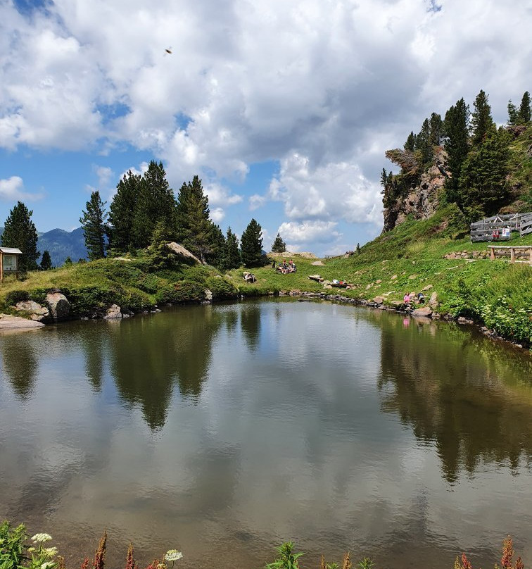 Strada Del Passo Manghen景点图片
