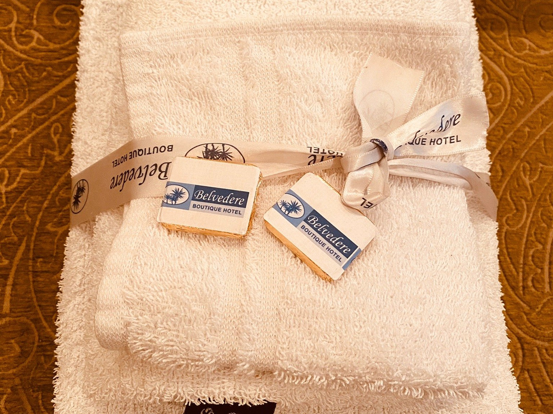 Belvedere Boutique Hotel主图