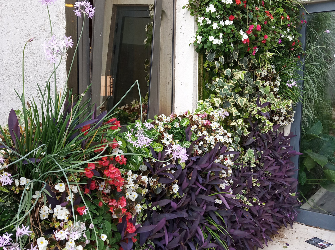 C内韦伊兰酒店主图