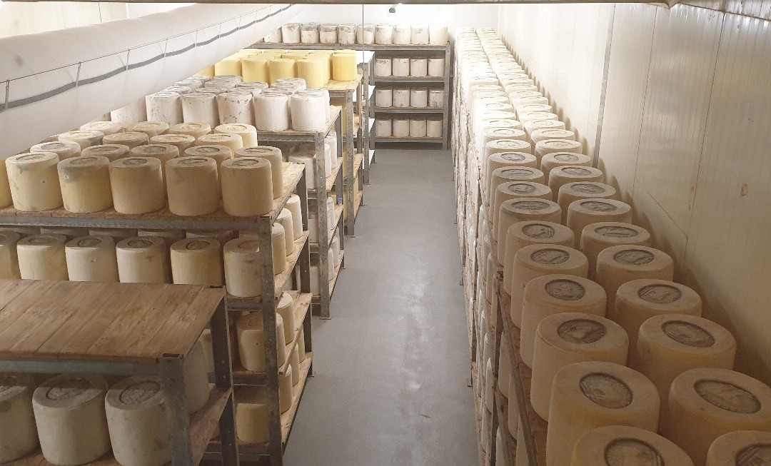 Visite Cooperative Fromagere Jeune Montagne景点图片