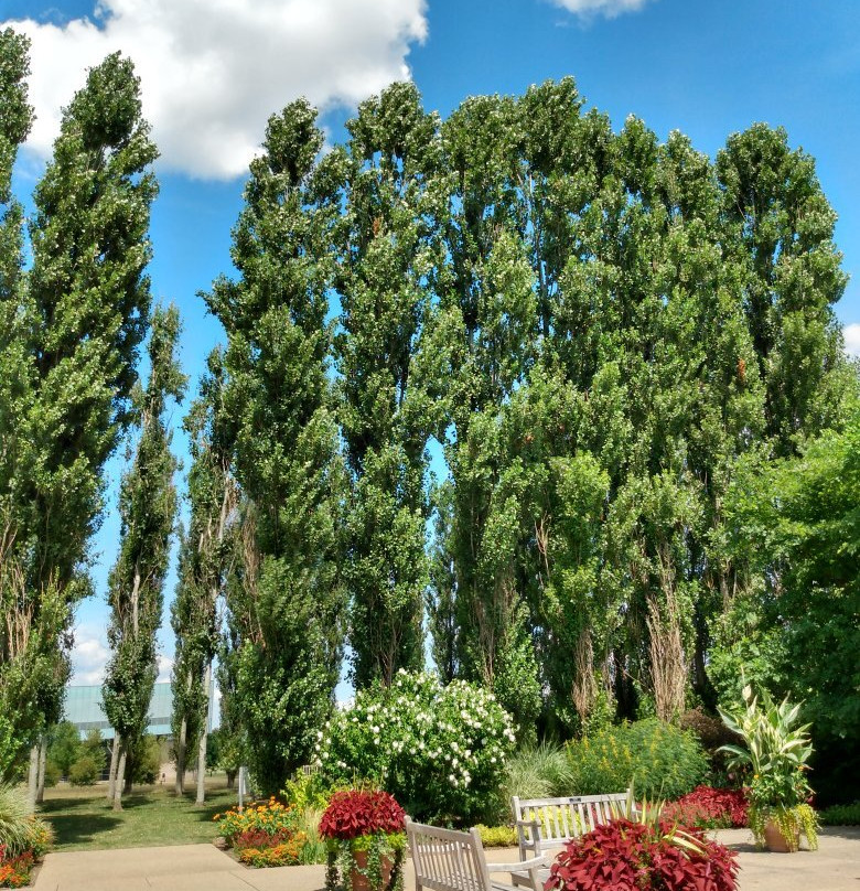 The Arboretum at Penn State-宾夕法尼亚州学院必去景点