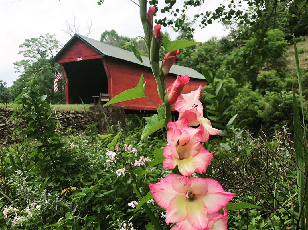 Sinking Creek Covered Bridge-Newport必去景点
