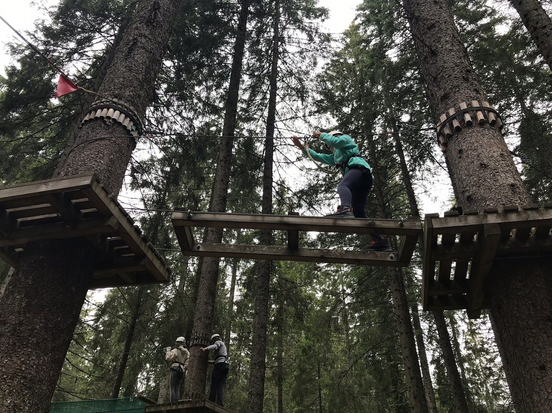Agility Forest San Martino di Castrozza景点图片