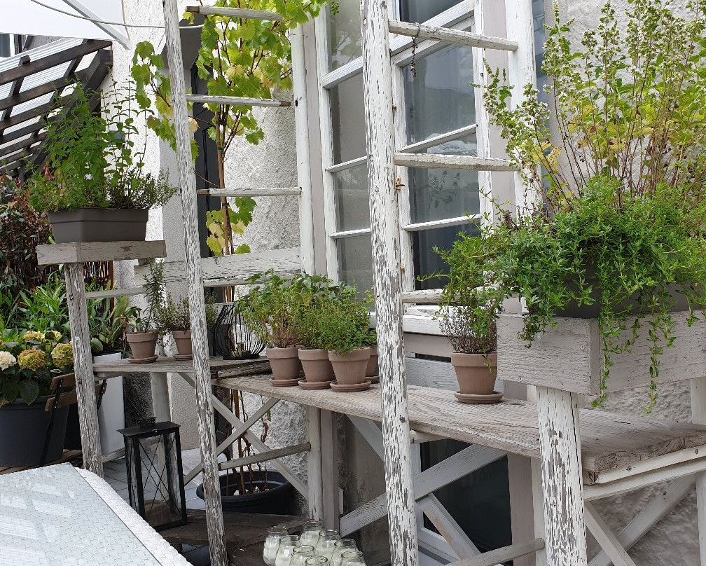 Bischoffs Hotel主图