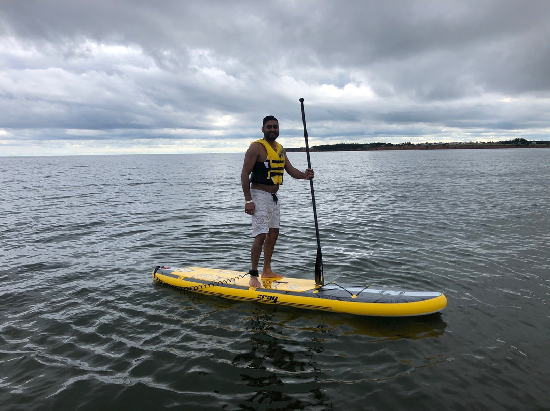 East Coast Paddle Adventures景点图片