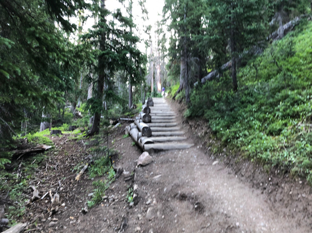 Mt Ida Trail-落基山国家公园必去景点