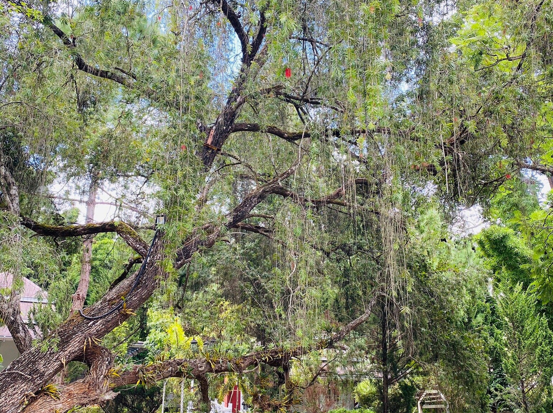 Royal Kalaw Hills Resort主图