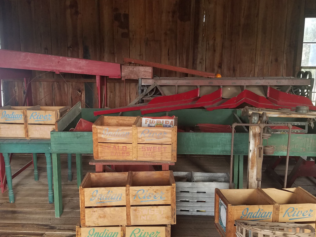 Pioneer Village at Shingle Creek-基西米必去景点