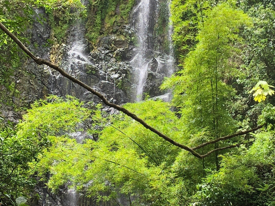 Jerrys Adventures-圣胡安必去景点