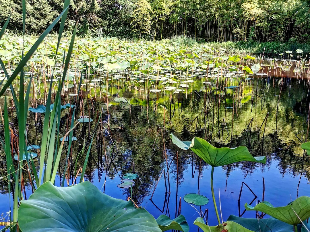 Arboretum Al Gaulhia-Espartignac必去景点