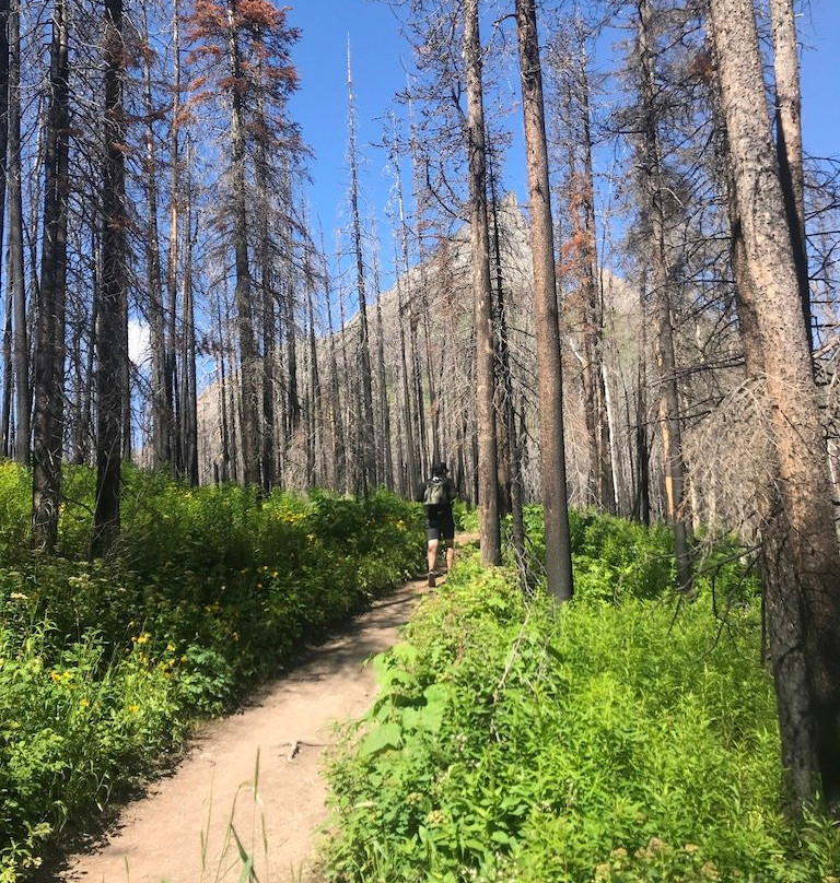 布莱基斯顿瀑布-沃特顿湖国家公园必去景点