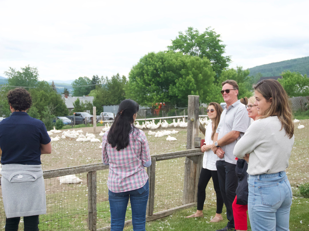 Zofa Excursions-魁北克市必去景点