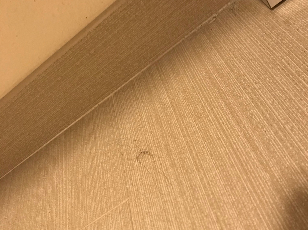 Comfort Inn & Suites Lookout Mountain主图