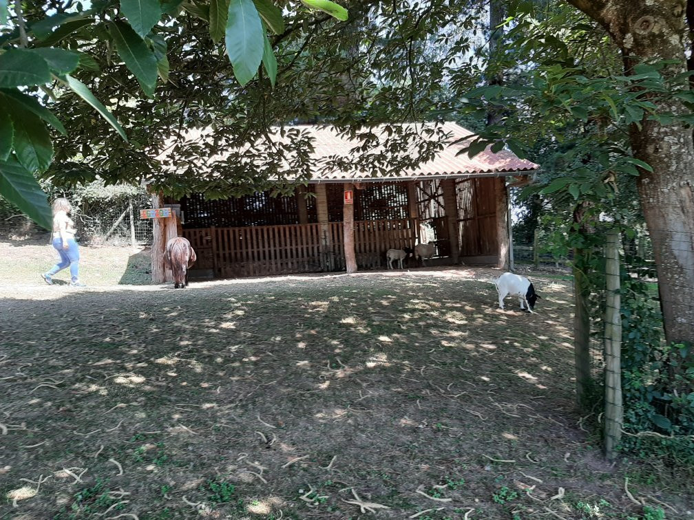 Casa Grande de Xanceda景点图片