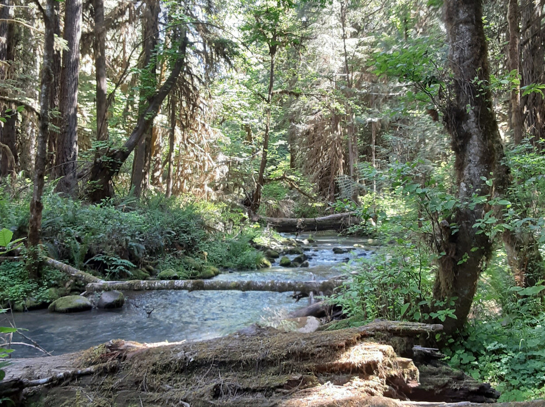 Wolf Creek Falls Trail景点图片