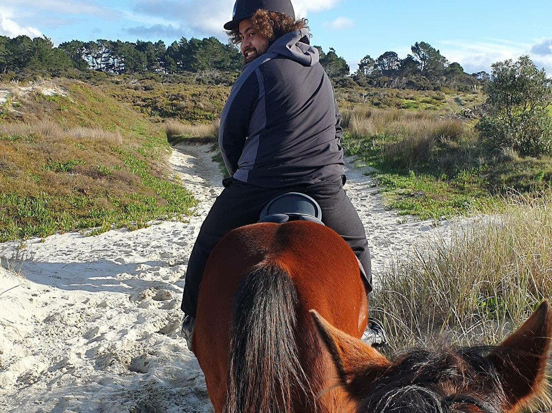 Waipu Horse Adventures-璜加雷必去景点