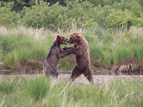 Adventure Airways-荷马必去景点