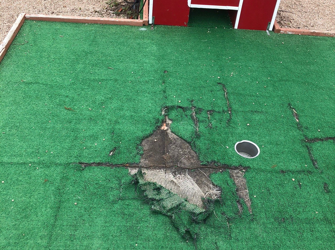 Yogi Bear's Jellystone Park-Madison必去景点