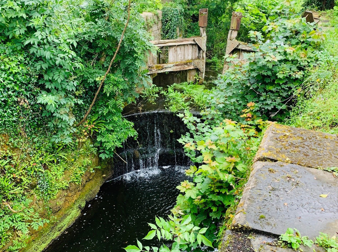 Boyne Ramparts Walk-Ardcath必去景点