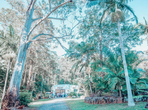 Phillips Gallery-努沙必去景点