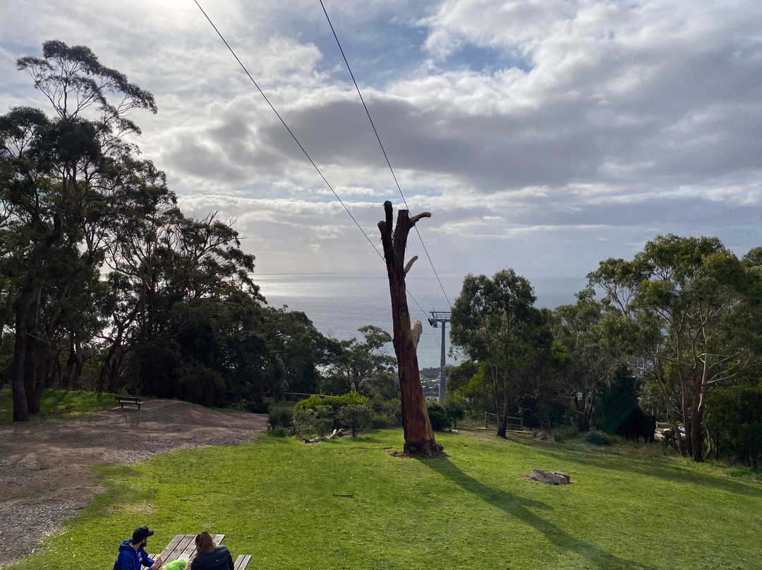 Arthurs Seat State Park景点图片