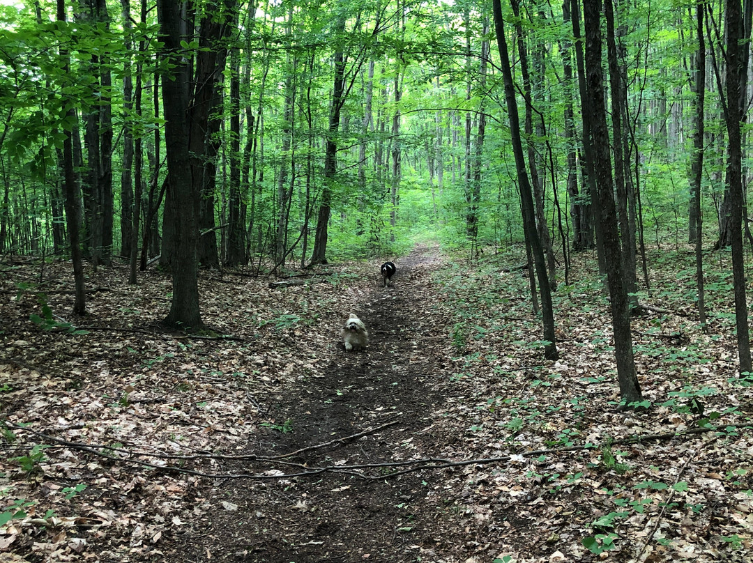 Sugar Ridge Retreat Centre主图