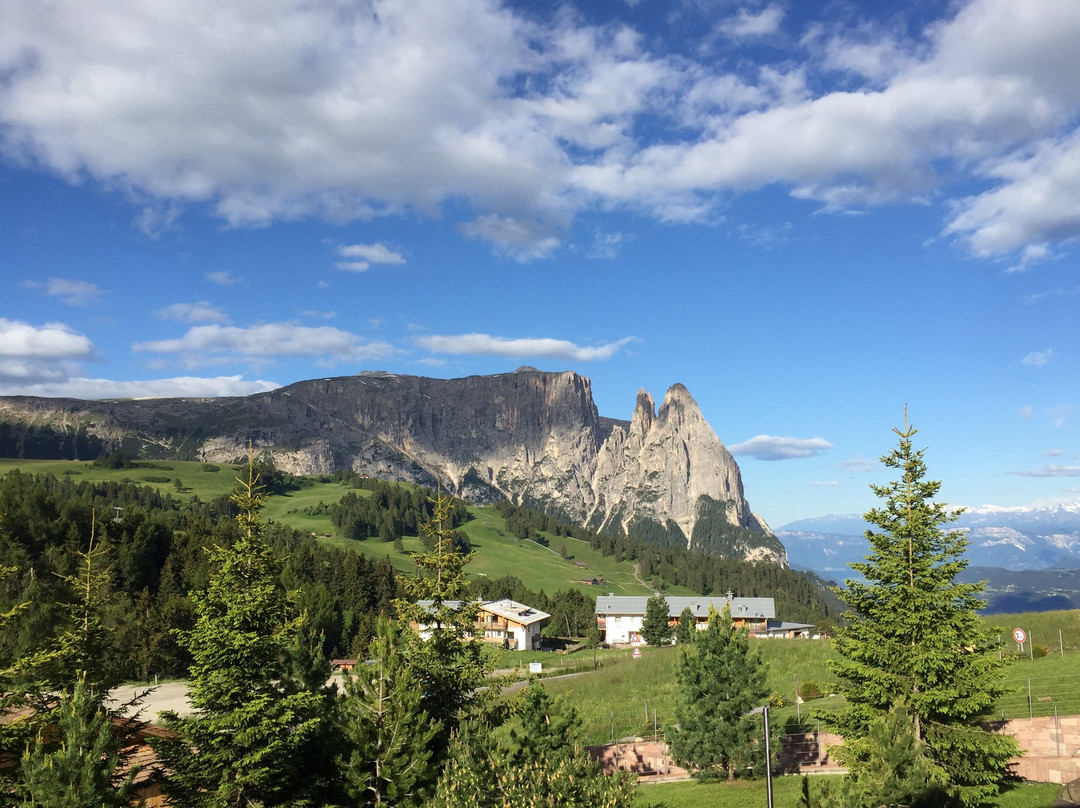 赛瑟阿尔姆尤塔勒酒店主图