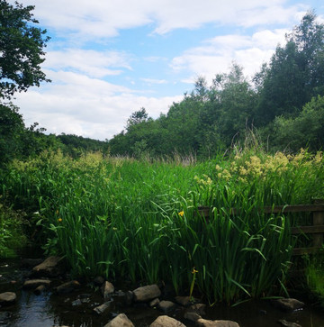Strinesdale reservoir-奥尔德姆必去景点