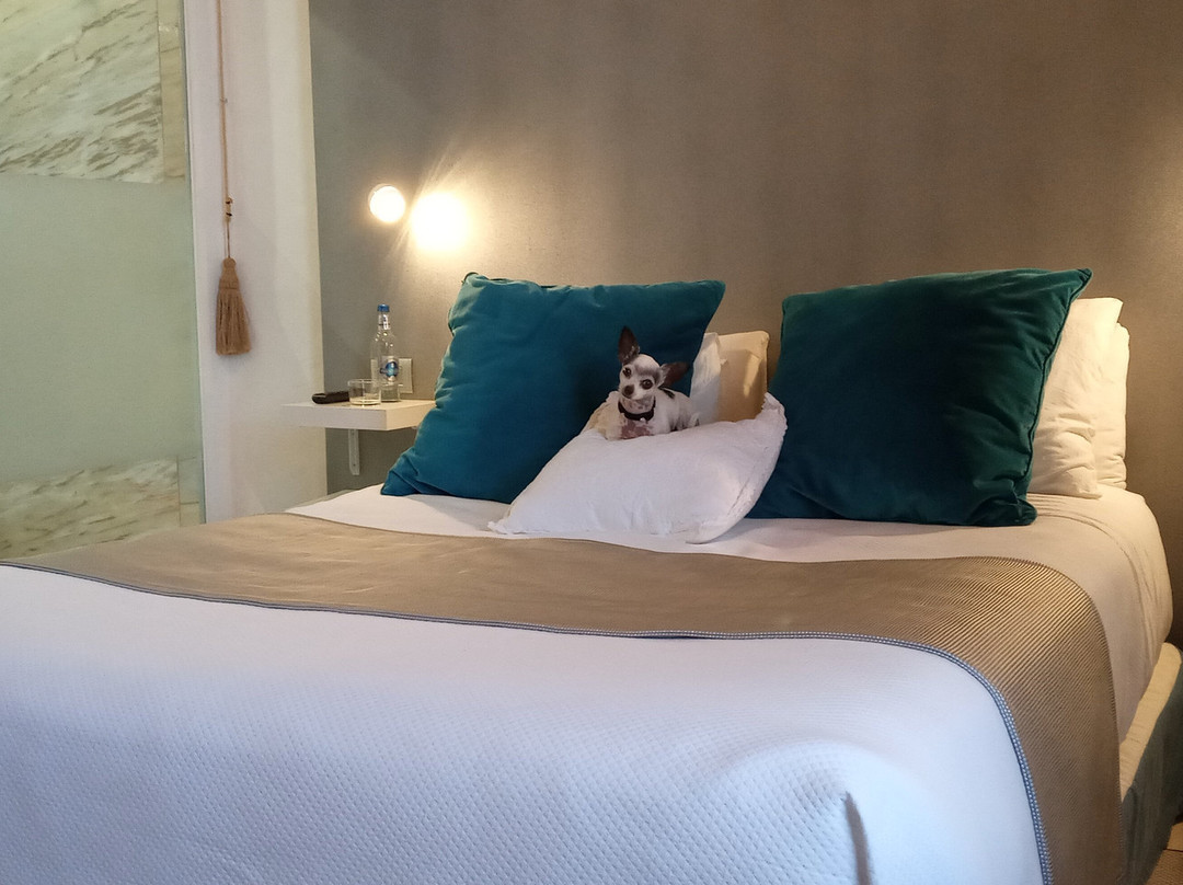 Hotel Emblemático Delmás主图