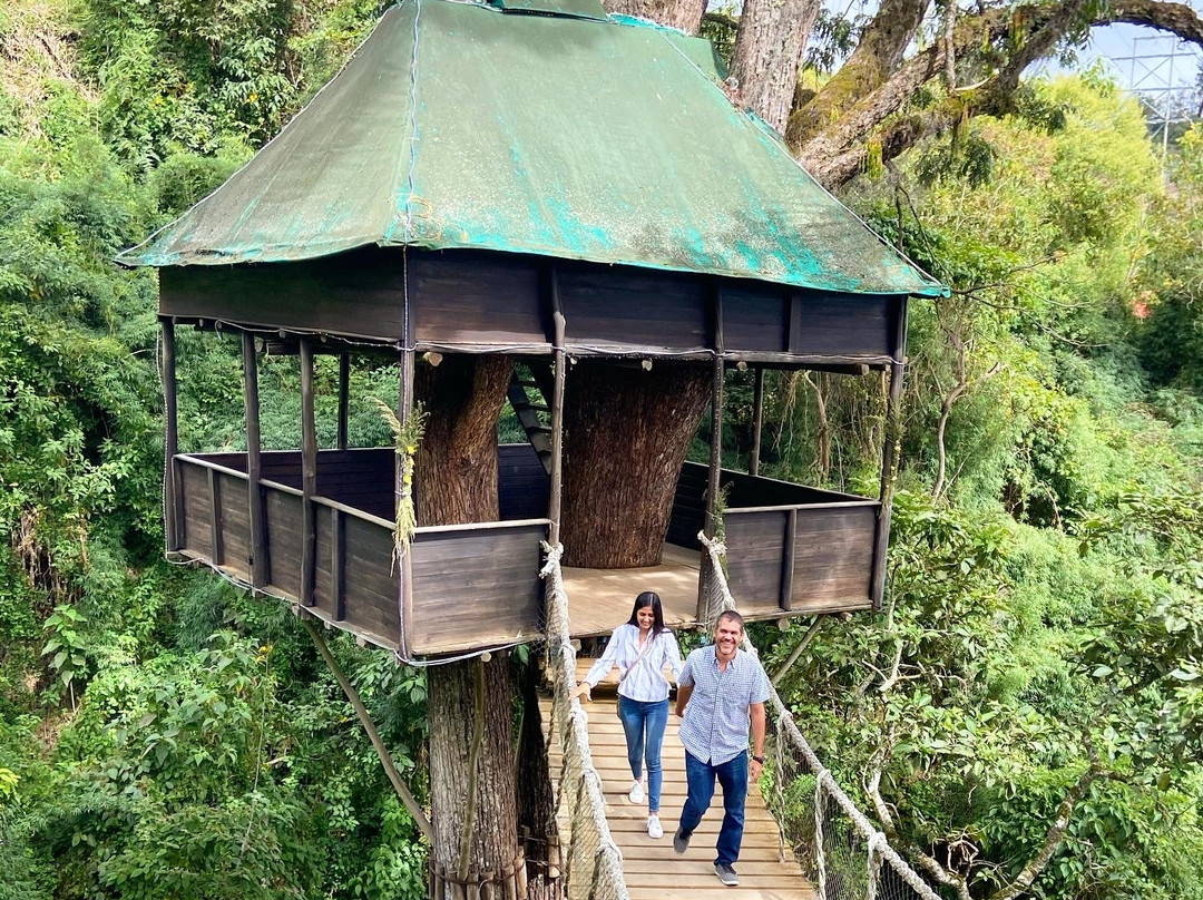 La Casita Del Arbol景点图片