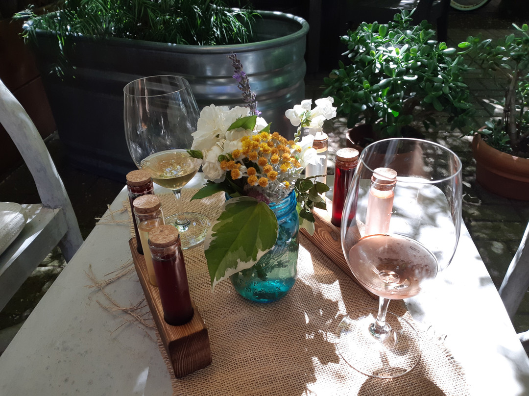 Lola Wines-卡利斯托加必去景点