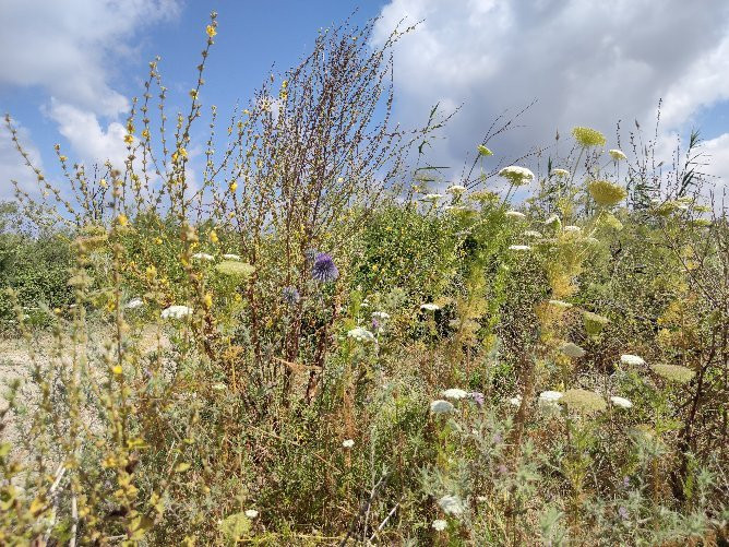 Taninim Nature Reserve-Bet Hananya必去景点
