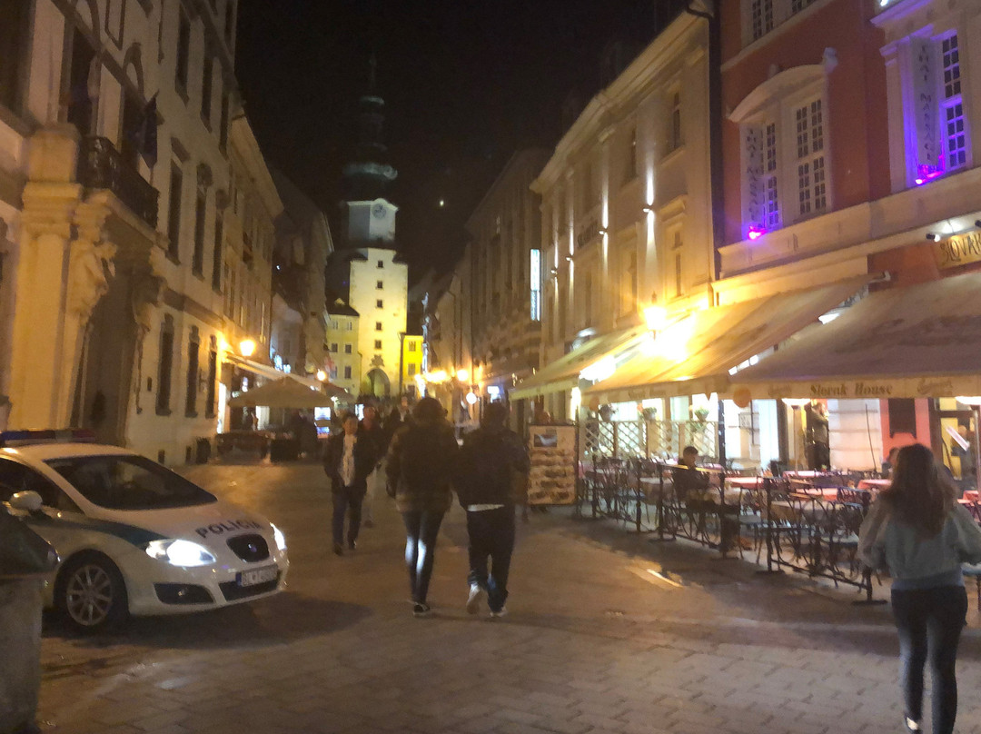 Tour4U - Bratislava Sightseeing景点图片